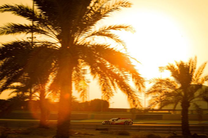 5_WEC_2019-2020_Bahrein_Toyota_Nr7_palmboom