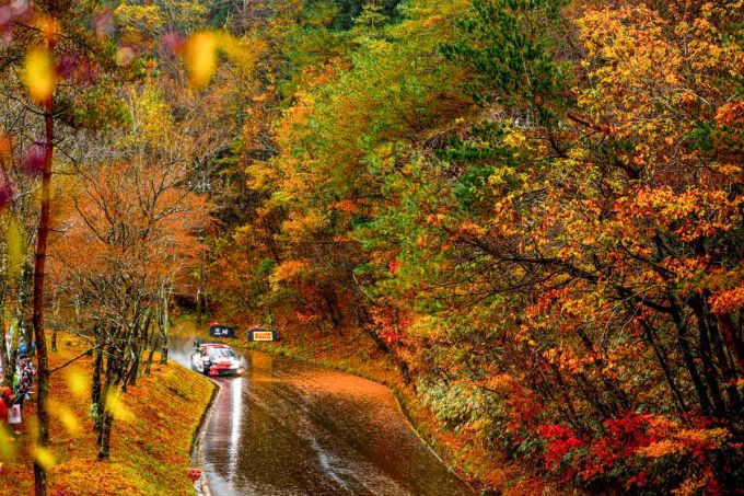 FORUM8 Rally Japan Toyota_Yaris_herfst