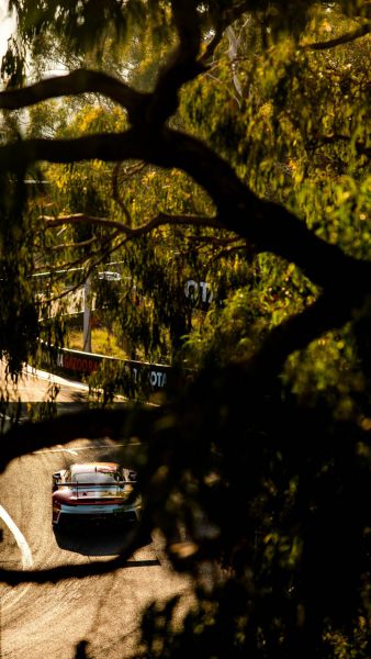 Meguiar's Bathurst 12 Hour Race Foto 17