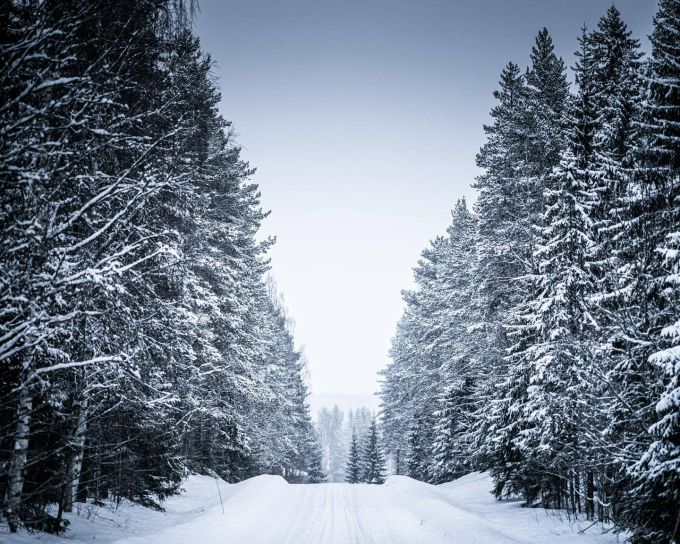 Rally Sweden 2025 Foto 4 Winterlandschap