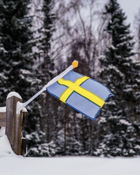 Zweedse vlag