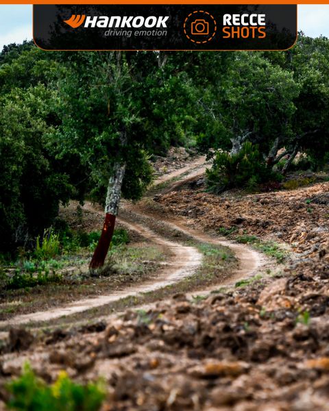 FIA WRC Rally Sardegna 2025 Foto 7