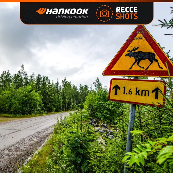 Secto Rally Finland 2025 foto FIA WRC 10